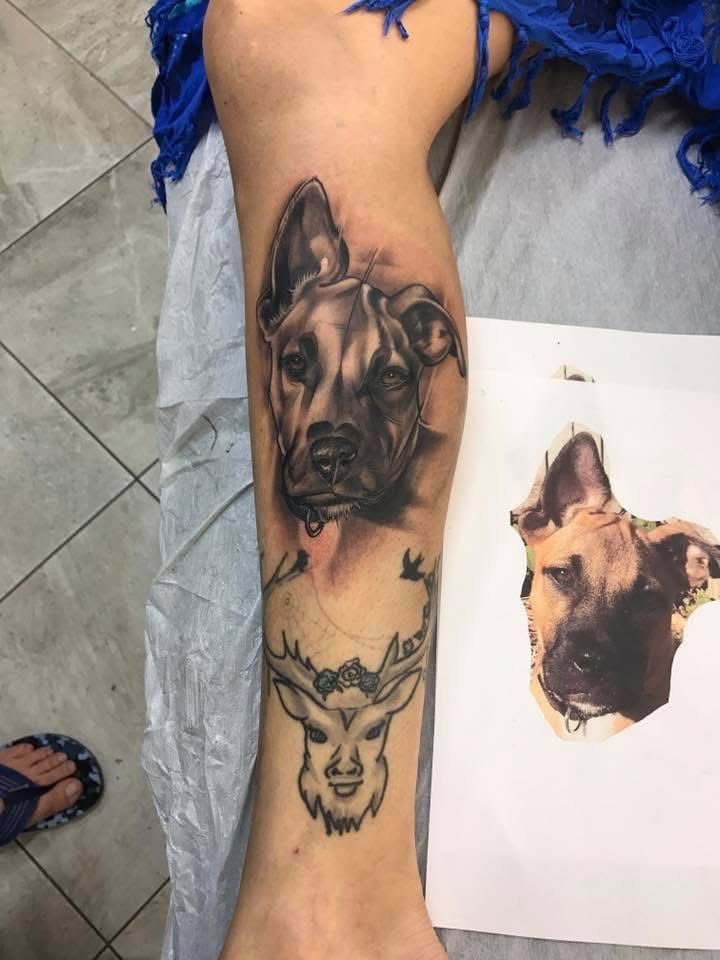 Tattoo of a dog's face above a deer's head on a person's leg, done in black and gray ink. — Whitsunday Tattooing Airlie Beach in Whitsundays, QLD