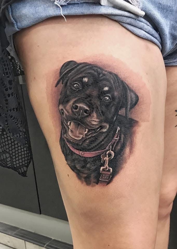 Rottweiler dog portrait tattoo on a person's thigh, with pink collar and leash, against a shaded background. — Whitsunday Tattooing Airlie Beach in Whitsundays, QLD