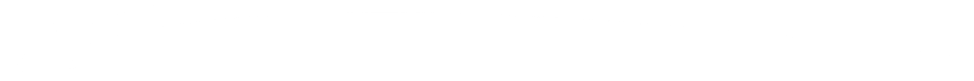 White Divider