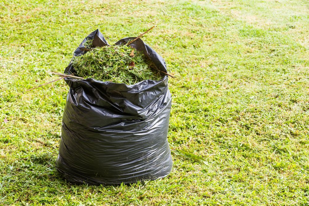 A bag of grass is sitting on top of a lush green lawn | MowAbility Garden Services Gold Coast