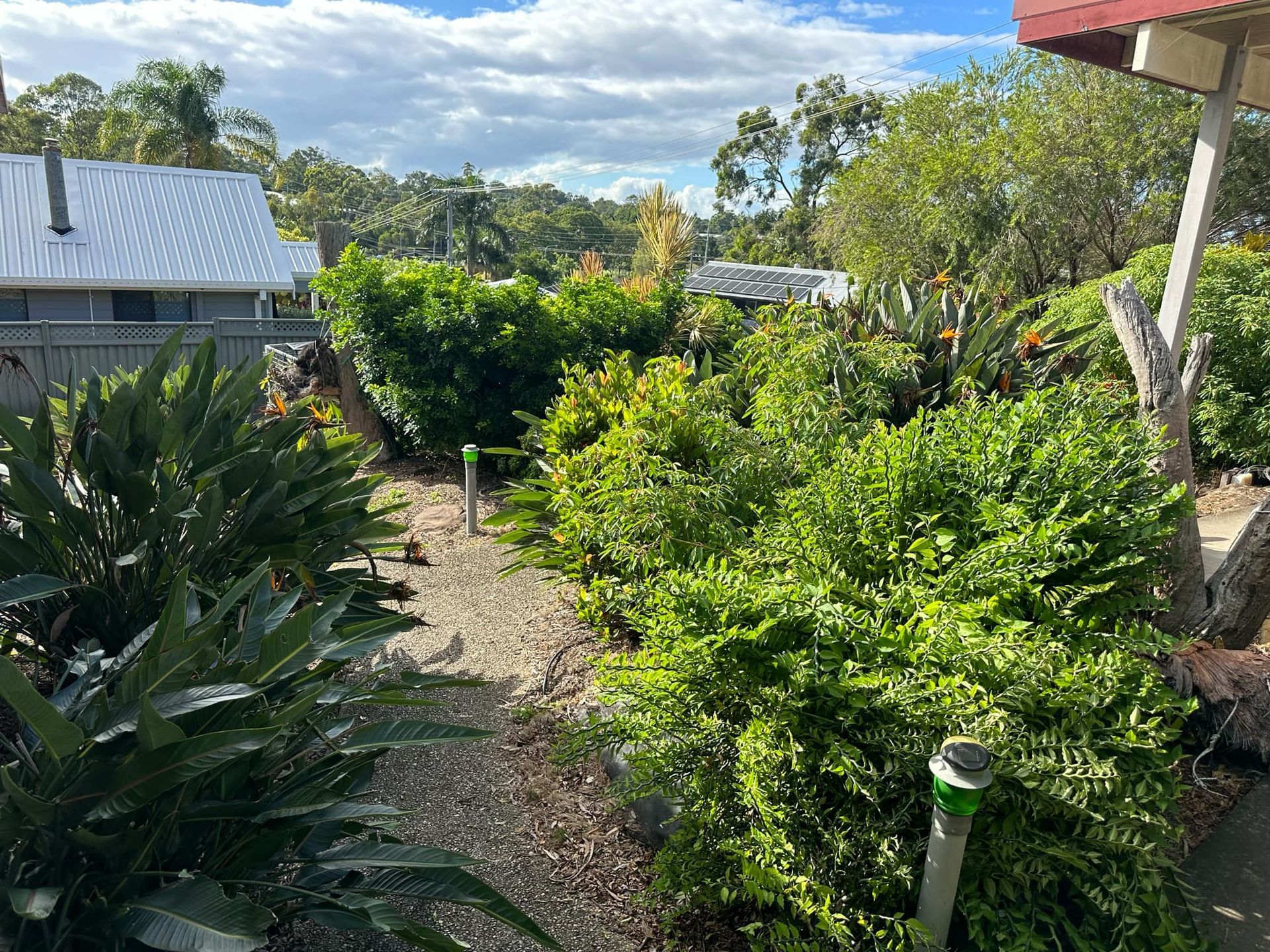 A lush green garden with a house in the background | MowAbility Garden Services Gold Coast