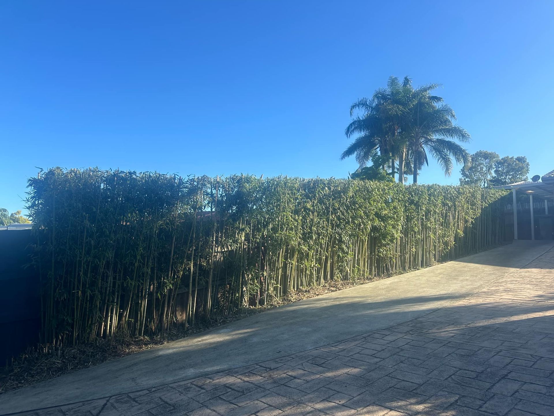 A brick driveway with a hedge and palm trees in the background | MowAbility Garden Services Gold Coast