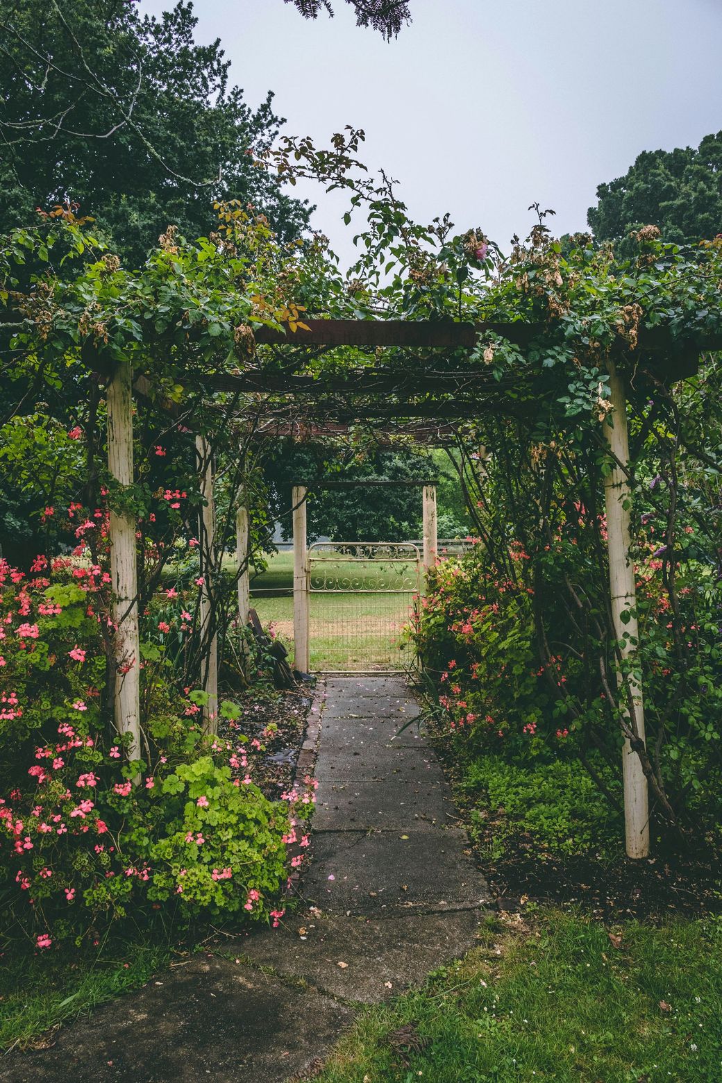 A wooden archway surrounded by flowers and trees in a garden | MowAbility Garden Services Gold Coast