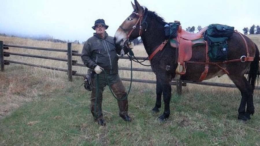 A man is standing next to a horse in a field.