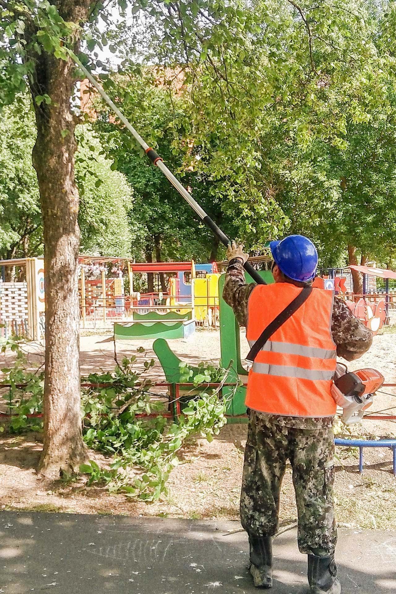 Person trimming tree branches with a pole saw in a park near a playground.