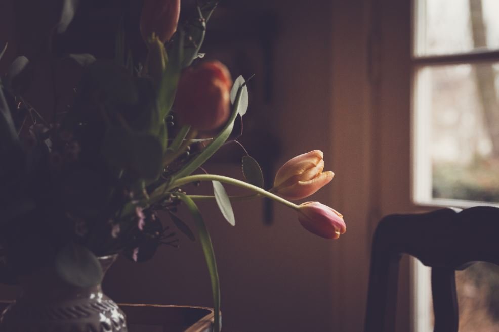 This Tool Will Help You Calculate the Cost of a Funeral