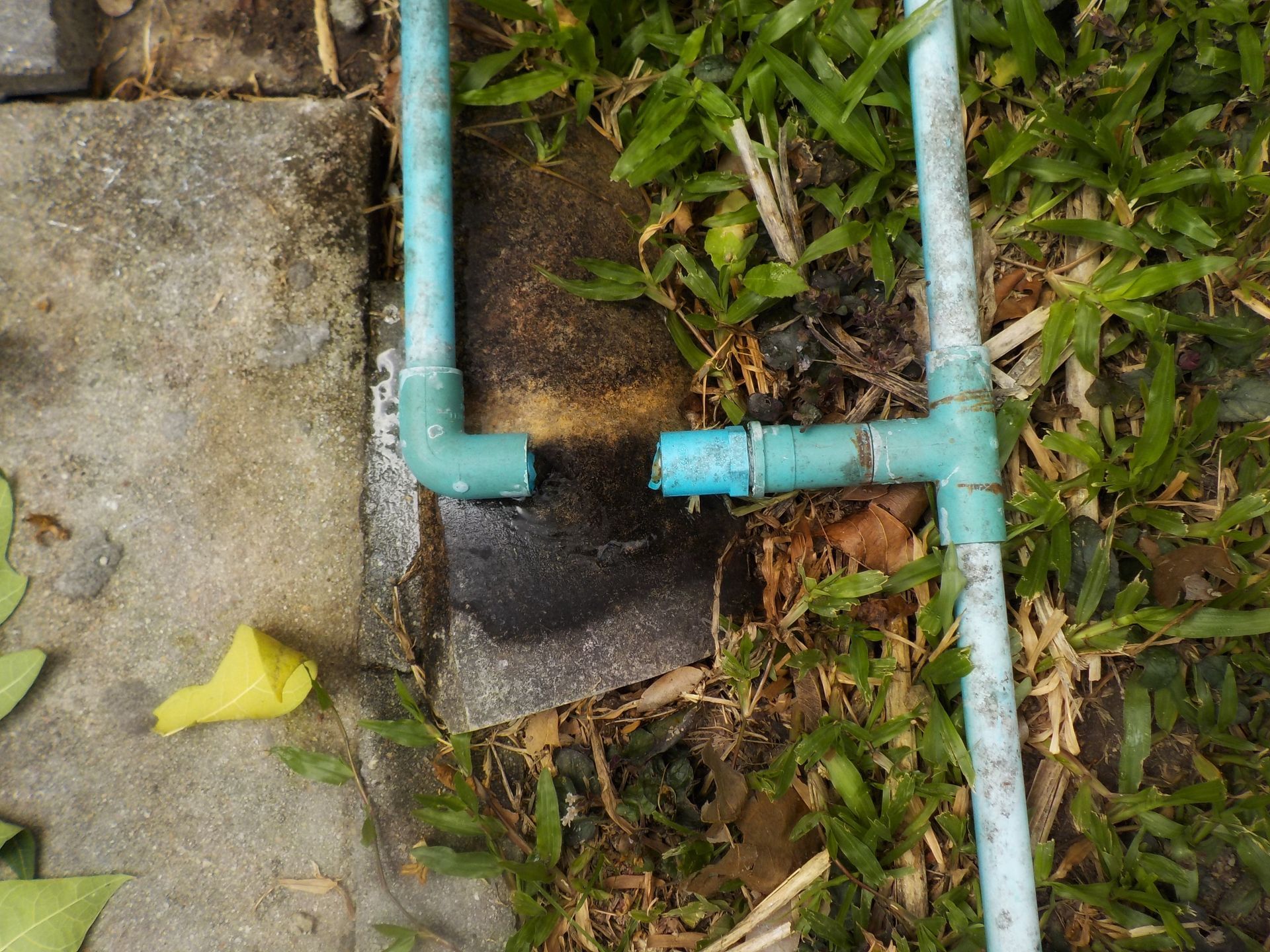 Slab Leak Repair -green PVC pipes over a patch of dirt beside stone paving and grass - Savannah, GA