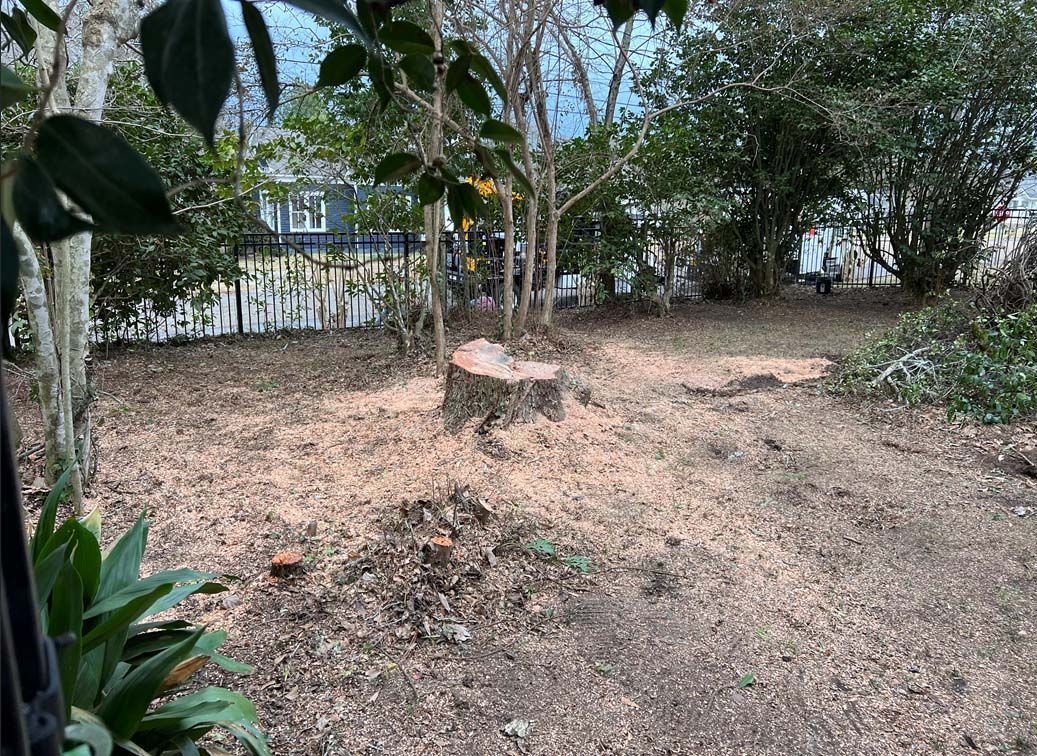 A stump in the middle of a yard with trees in the background.
