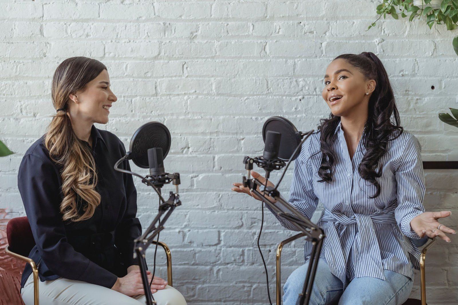 podcast session