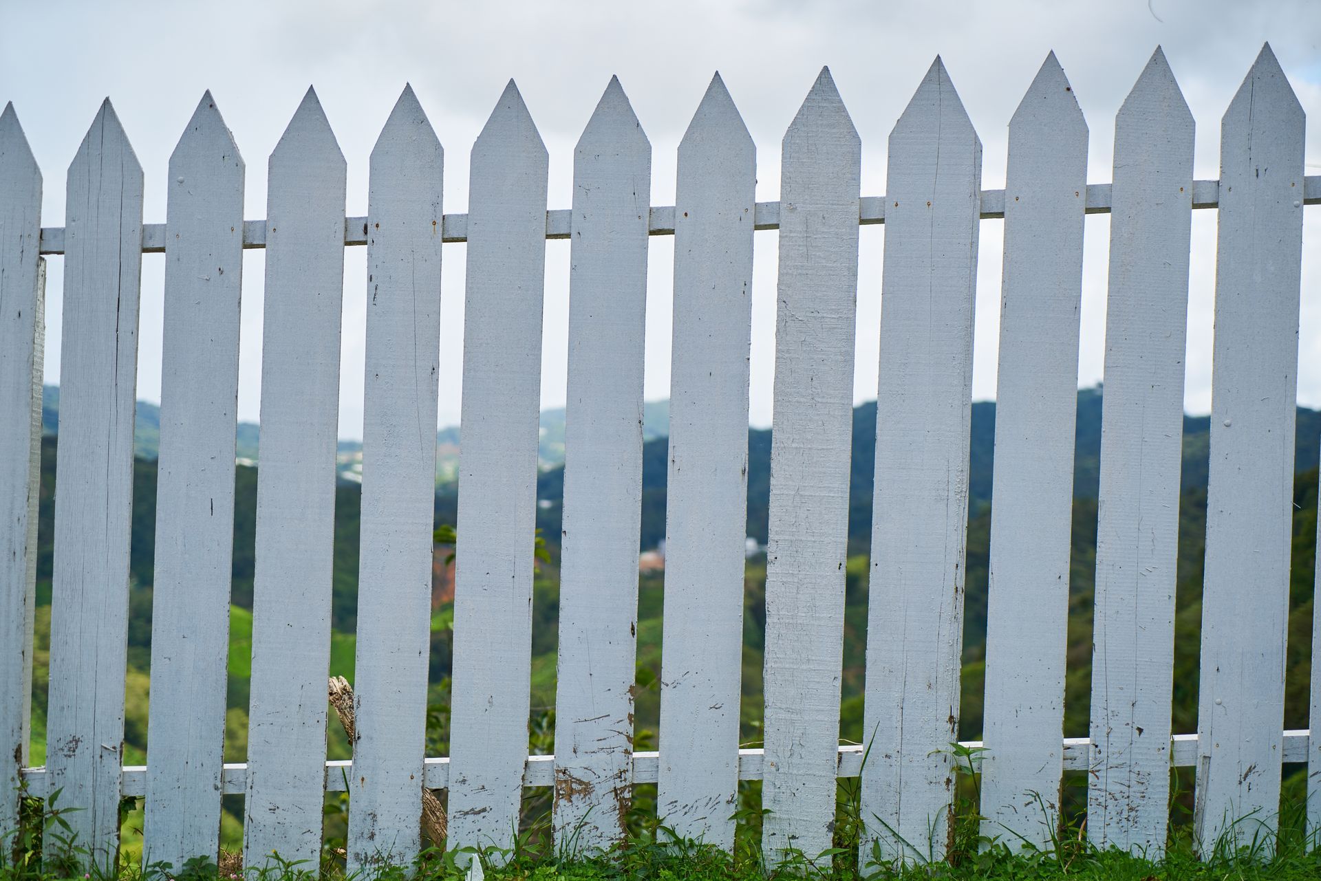 A white picket fence surrounds a grassy field.