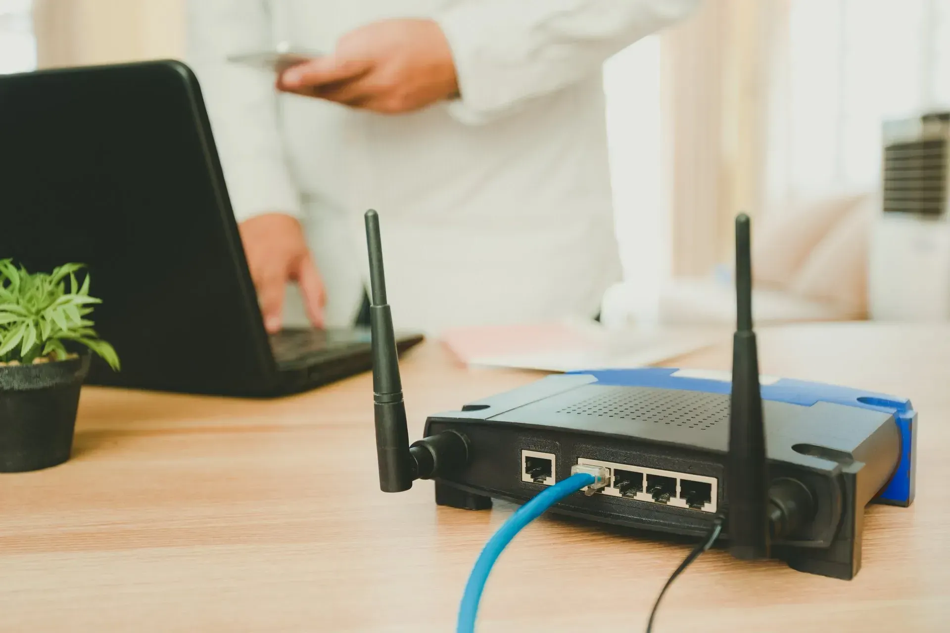 Wireless Router On Desk With Laptop And Potted Plant — Superior Wifi in East Ballina, NSW