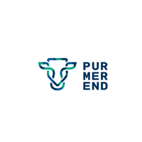 Logo voor Purmerend met een gestileerde blauwgroene lijntekening van een koeienkop naast de gestapelde tekst