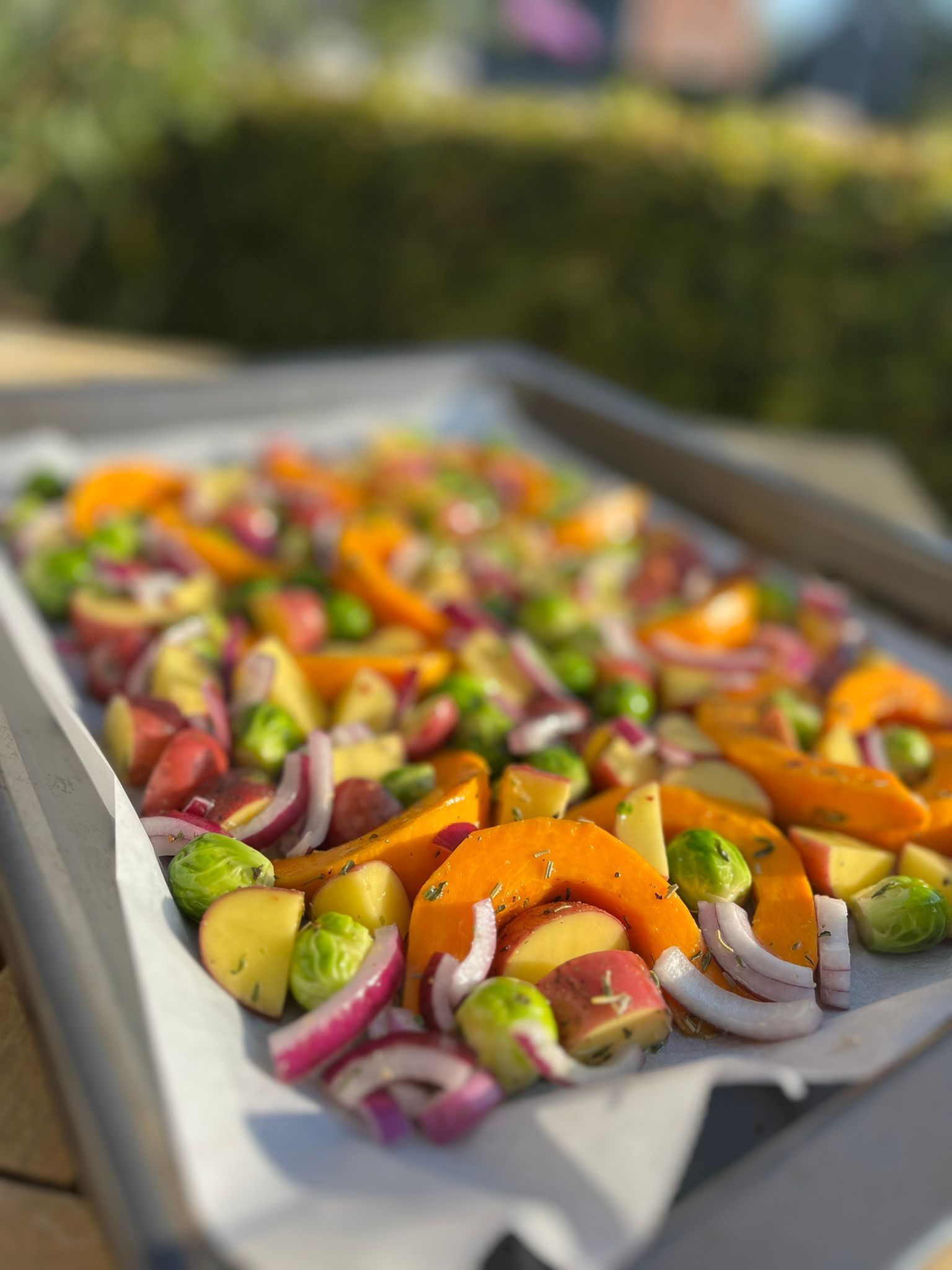 Een bakplaat gevuld met stukjes oranje pompoen, rode aardappelen, plakjes rode ui en spruitjes.