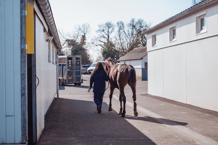 Une femme promène un cheval sur un chemin entre deux bâtiments.