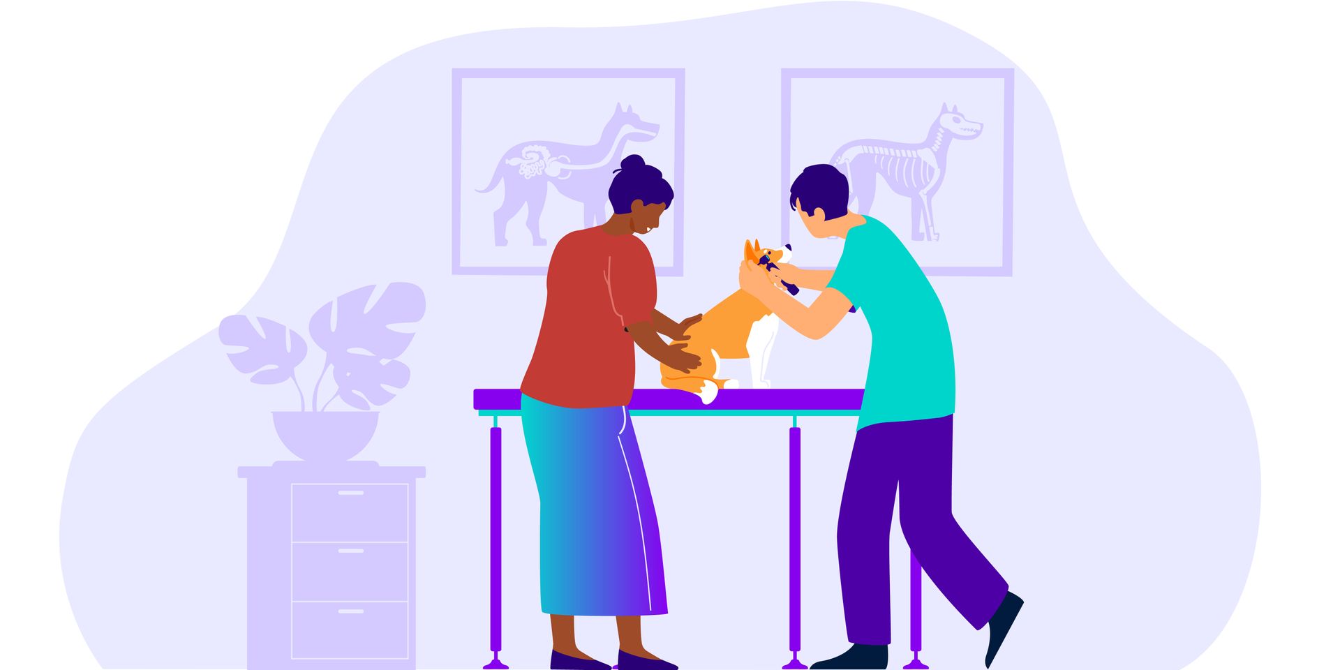 Une femme tient un chien pendant qu'un vétérinaire l'examine.