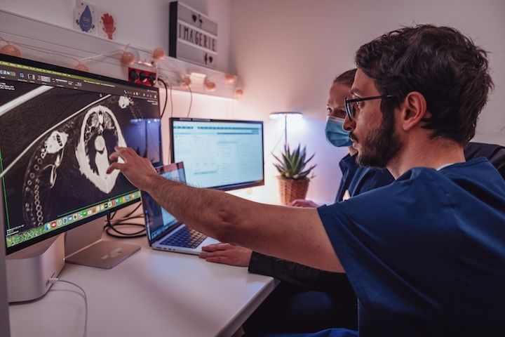 Deux médecins regardent un scanner sur un écran d'ordinateur.