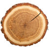 A close up of a tree stump showing the annual rings