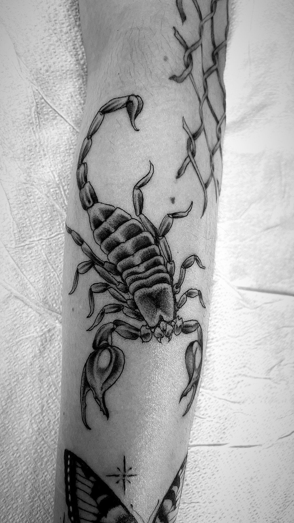 A black and white photo of a scorpion tattoo on a person 's leg.