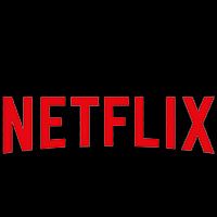 Netflix logo representing that action director and stunt coordinator Ferdi Fischer has worked on productions for this studio.