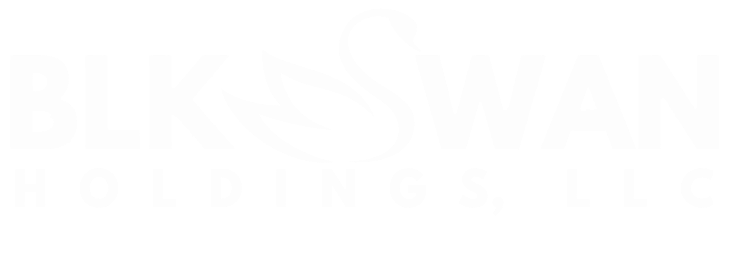 BlkSwan Holdings, LLC logo - click to go to home page
