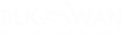 BlkSwan Holdings, LLC logo - click to go to home page