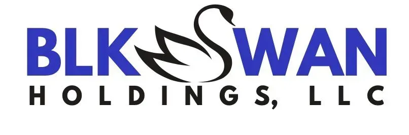 BlkSwan Holdings, LLC logo - click to go to home page