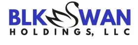 BlkSwan Holdings, LLC logo - click to go to home page