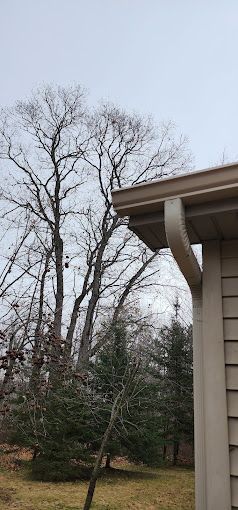 A house with a gutter and a tree in the background.
