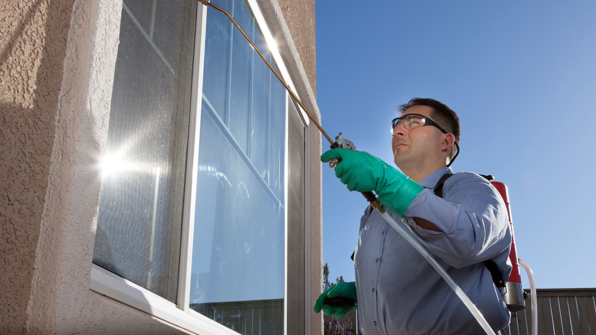 Commercial Pest Control Brisbane