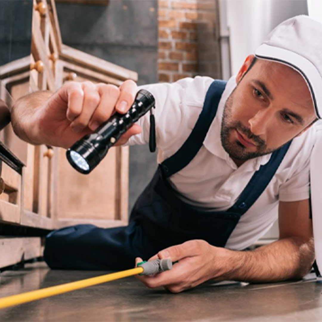 HACCP Certified Pest Control Services