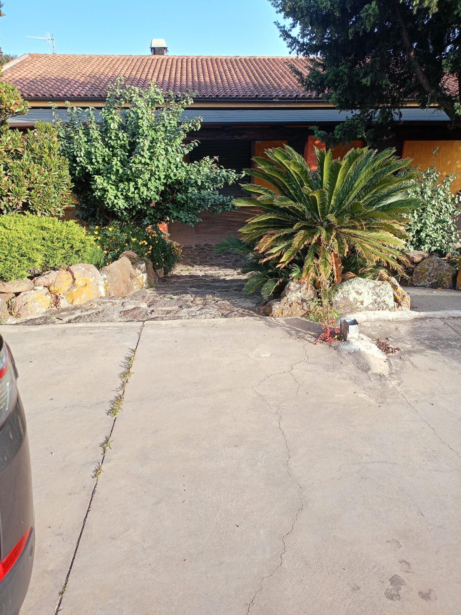 Vialetto d'accesso a una casa con tetto di tegole rosse, arbusti e una palma nel giardino anteriore.