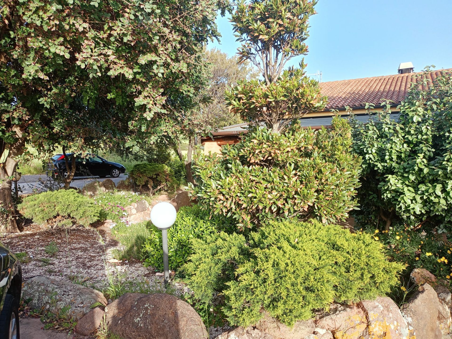 Giardino soleggiato con arbusti, alberi, una lampada bianca e il tetto di una casa sullo sfondo.