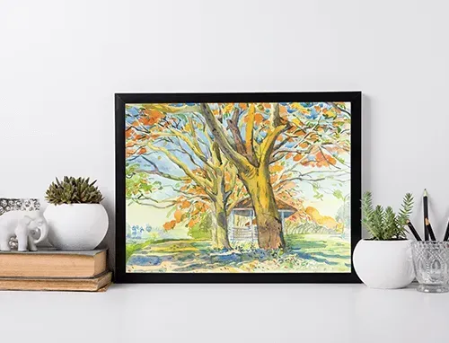 WATERCOLOR DRAWINGS