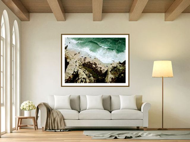 Color and B&W Custom Enlargements & Collage prints