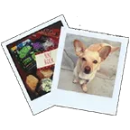 Instagram prints