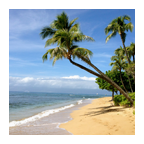 COLOR ENLARGEMENTS