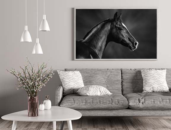 Black & White Large Prints