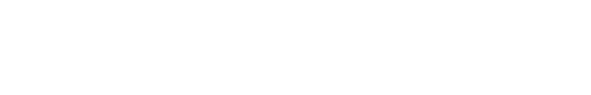 White horizontal strip with a thin black line near the bottom on a plain white background