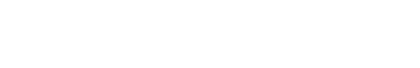 White horizontal strip with a thin black line near the bottom on a plain white background