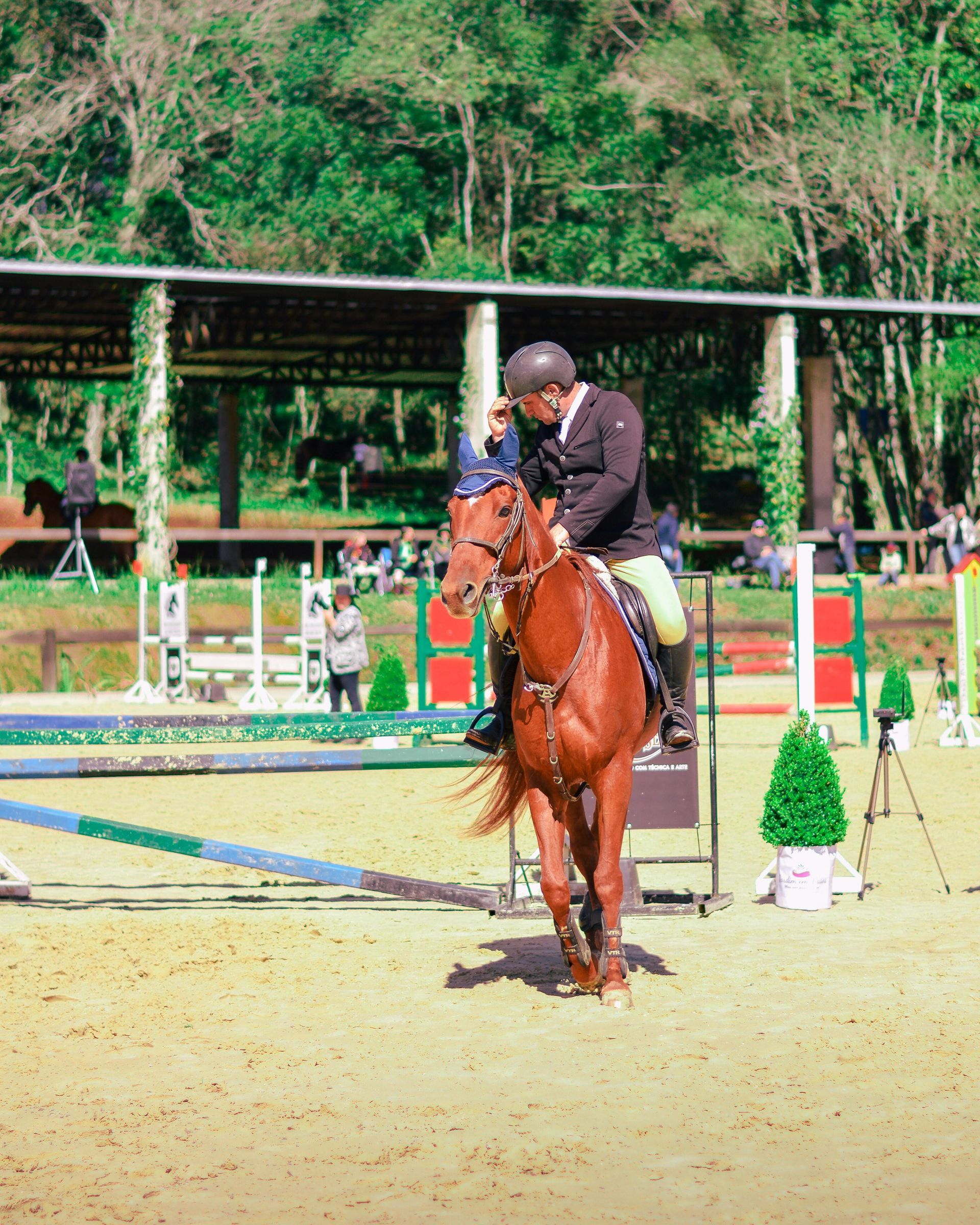 Horse and rider jumping an obstacle in an outdoor equestrian arena