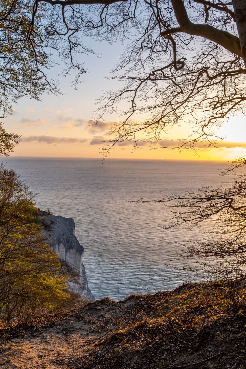 Solnedgang over havet med klipper, trægrene, der indrammer udsigten, og rislende vand.