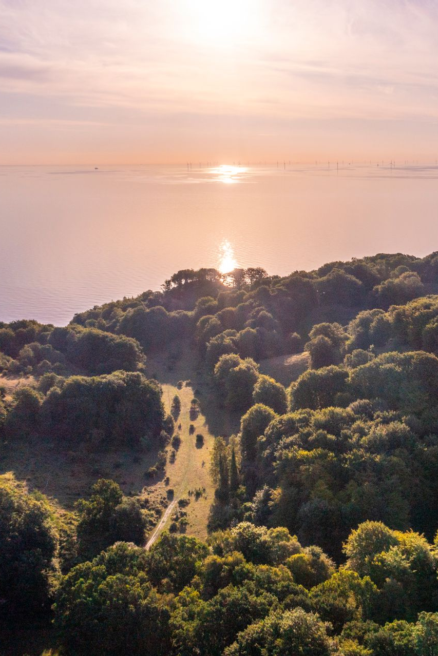 Solnedgang over en trædækket kystlinje med en glødende lysstråle på vandet