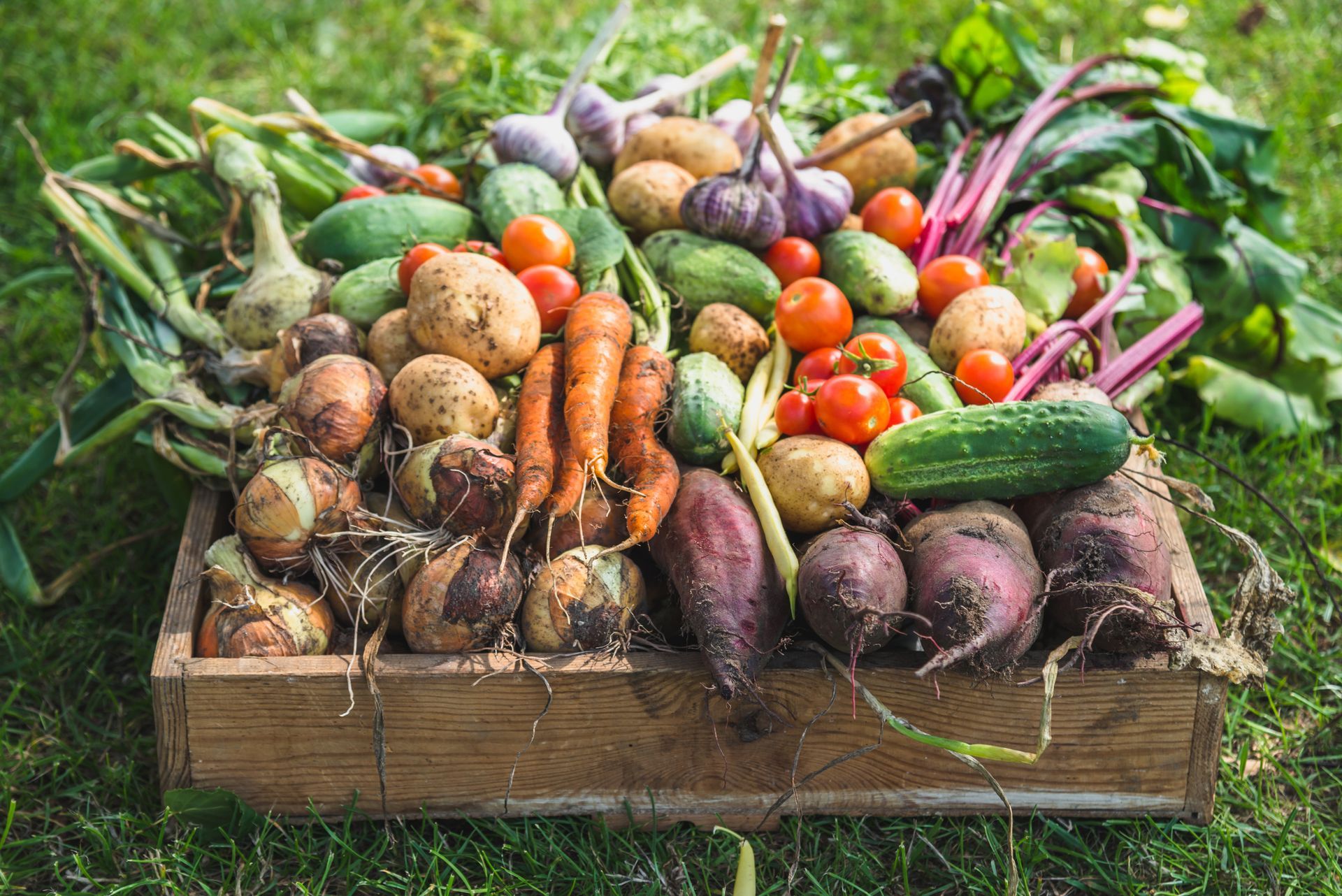 A wooden box filled with vegetables is sitting on top of a lush green field.