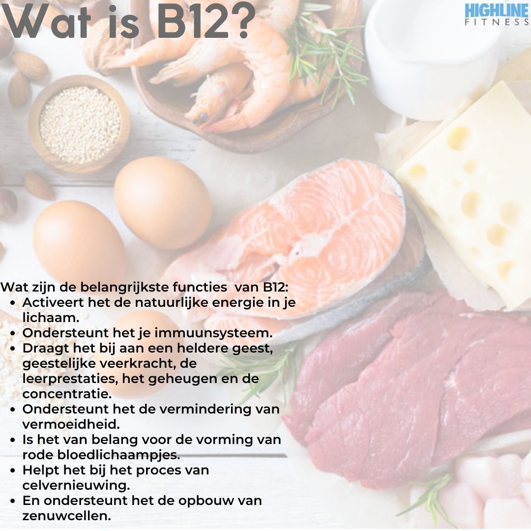 Een poster waarin wordt uitgelegd wat b12 is in een vreemde taal