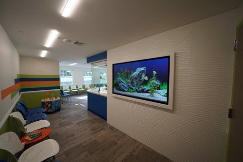 Colorful waiting area with seating, blue counter, and wall-mounted aquarium screen in a modern hallway