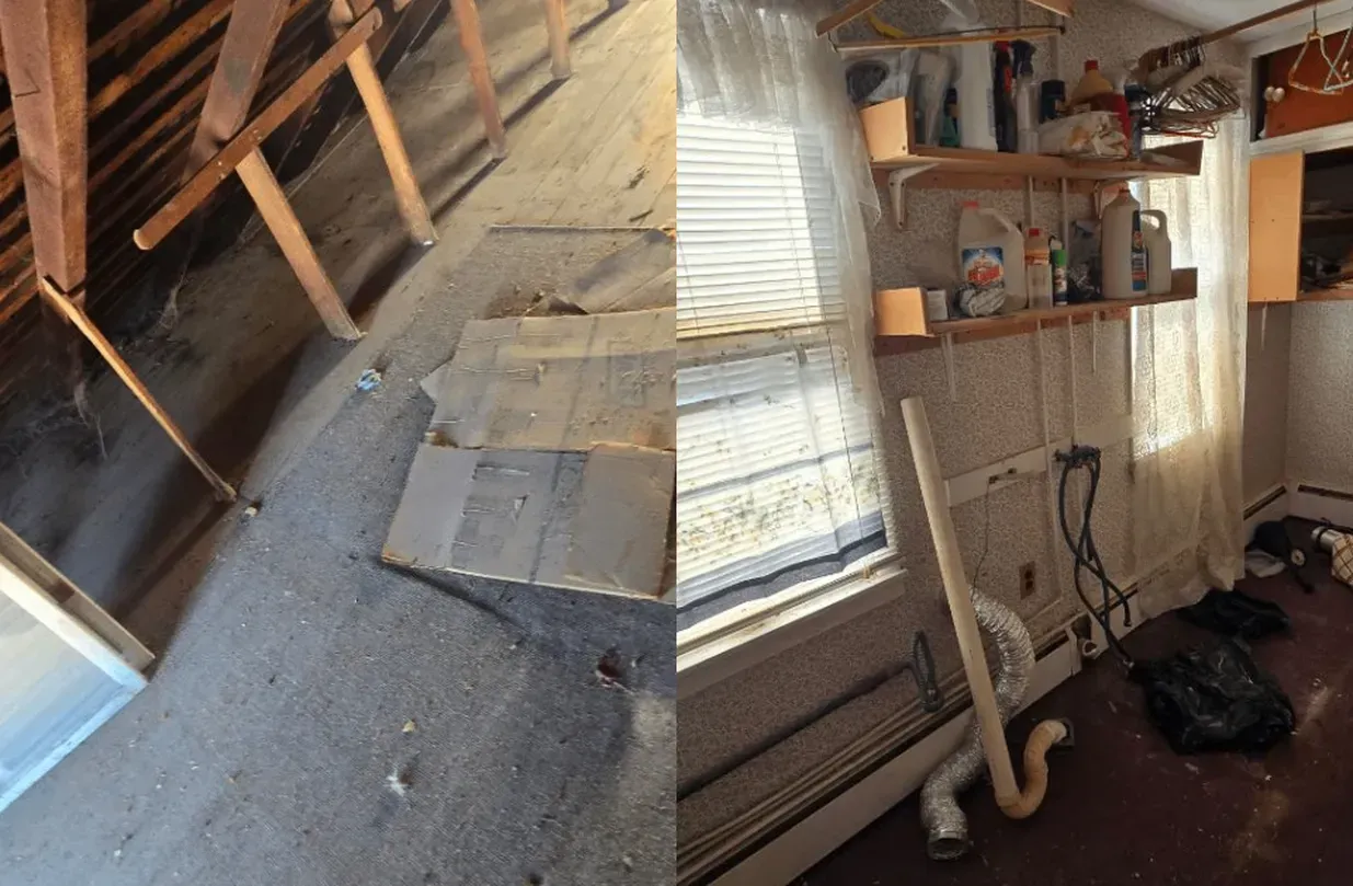 Cluttered attic-like room with slanted ceiling, shelves, exposed pipes, and a bright window shadow across the wall