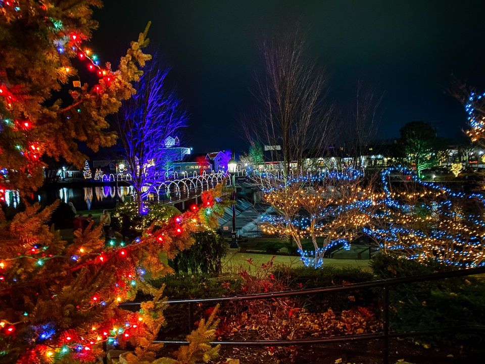 Christmas lights illuminate trees and a distant park at night.