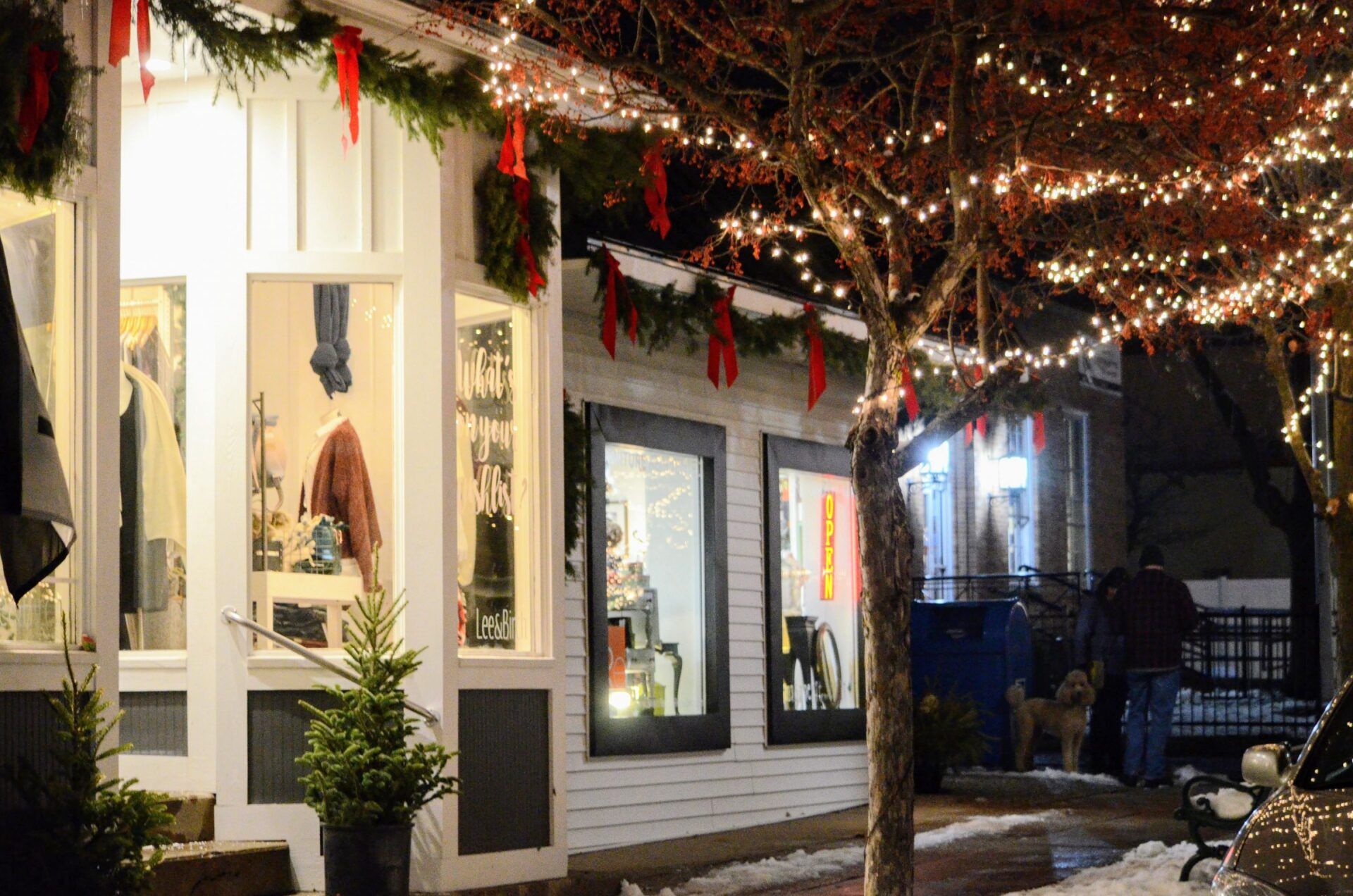 Storefront decorated with Christmas lights and garland, at night.