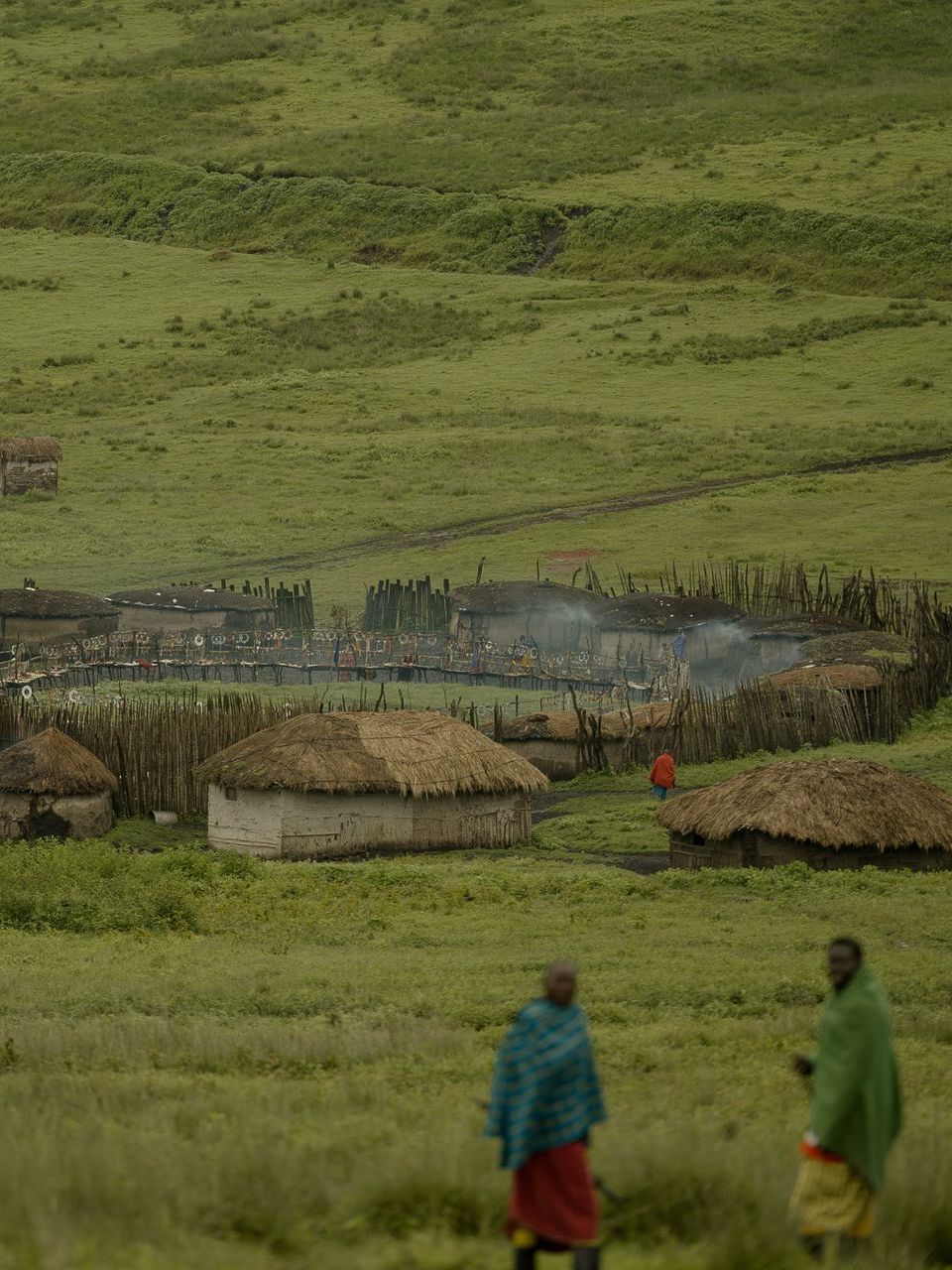 Two people are walking through a grassy field with thatched huts in the background.