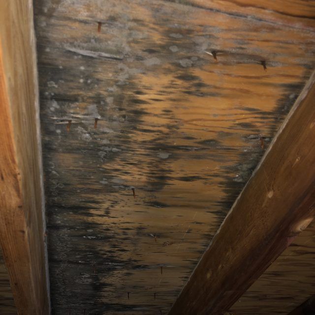 A close up of a wooden ceiling with nails in it.